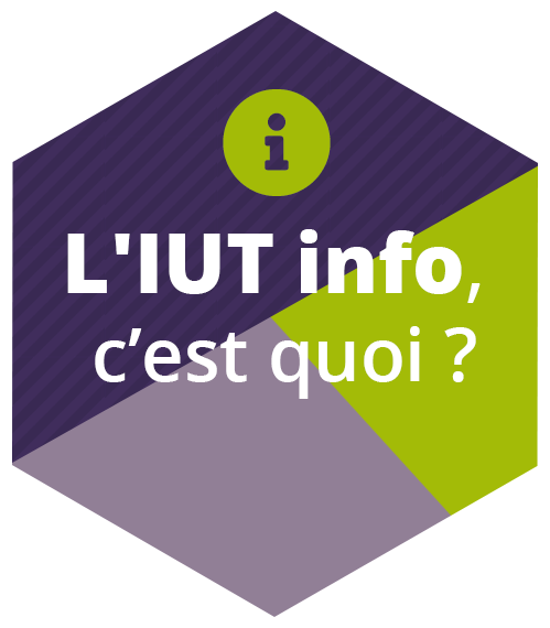 Suis-je fait pour l'IUT info ?